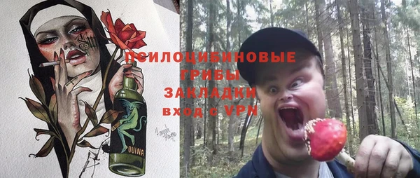 a pvp Магас