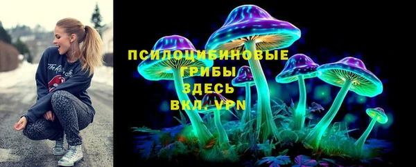 тгк Медногорск