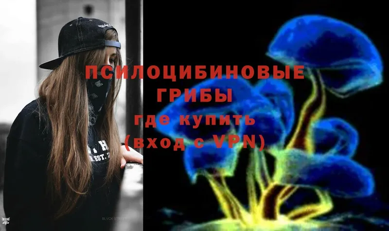 Галлюциногенные грибы Psilocybine cubensis  Рубцовск 