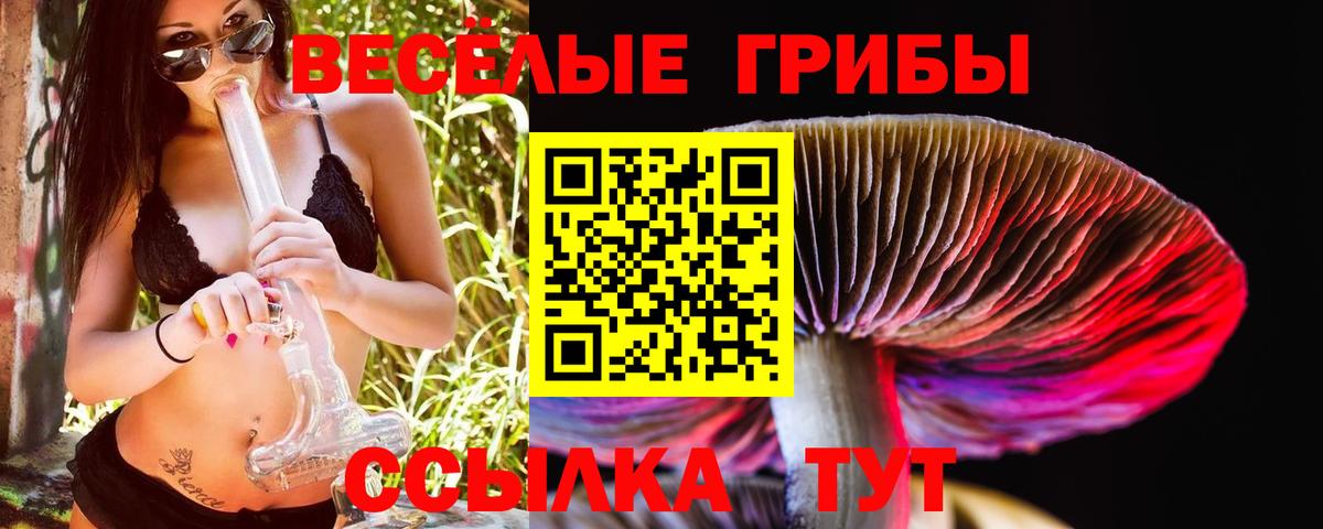 Псилоцибиновые грибы Psilocybe  Вход с VPN  Рубцовск 
