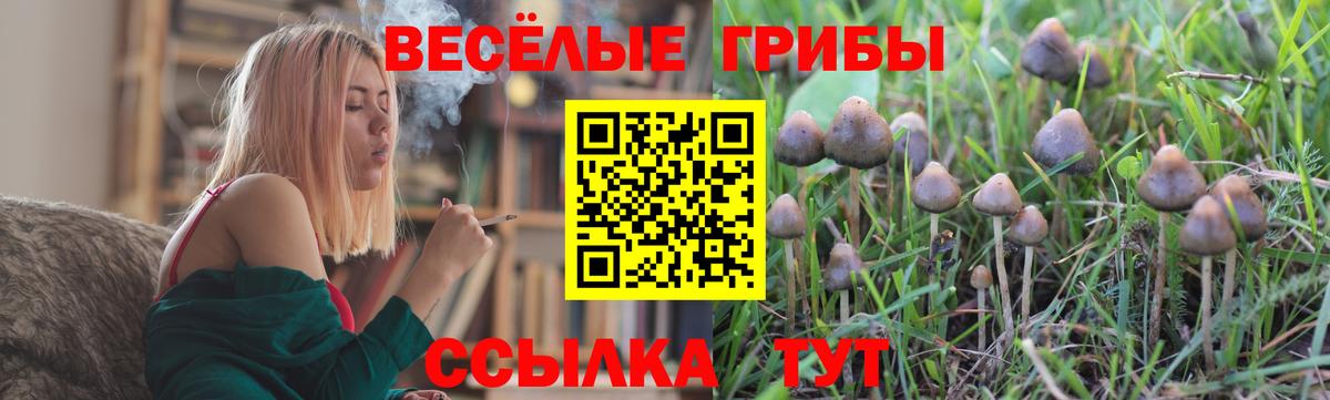 Псилоцибиновые грибы Magic Shrooms Рубцовск